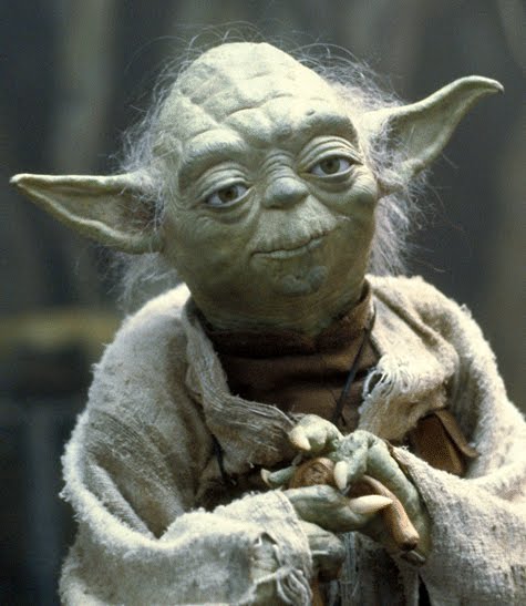 "You will know (the good from the bad) when you are calm, at peace. Passive. A Jedi uses the Force for knowledge and defense, never for attack." - Master Yoda